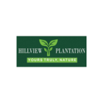 Hillview plantation Digital Blezz client